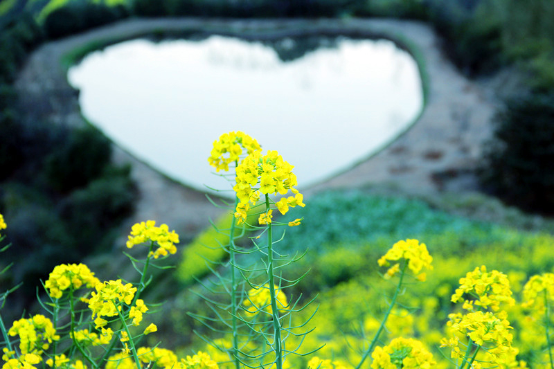 wKgB4lMxex6AOp7SAAIyKQrFYtQ27_1458874709338.jpeg wKgB4lMxex6AOp7SAAIyKQrFYtQ27.jpeg